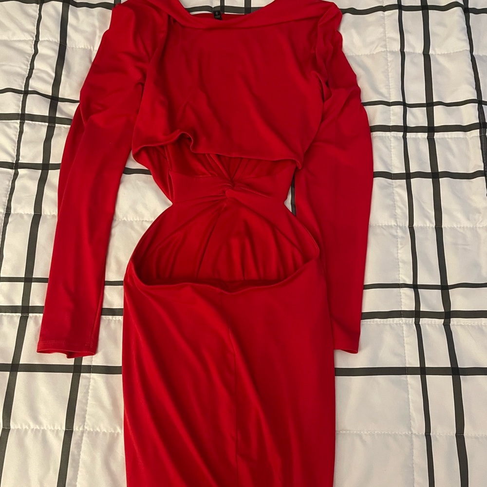 Express Dress - Picture 2 of 2